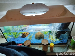 Aquarium komplett 