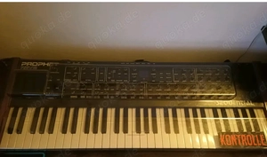 Synthesizer Prophet Rev 2 8 Voice 