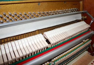 Klavier August Hoffman 121 K Nussbaum poliert, 5 Jahre Garantie Bild 7