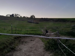 Einstellplatz im Offenstall