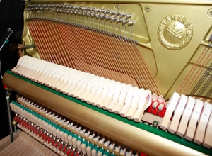 Klavier Yamaha P124, schwarz poliert, Nr. E330028, 5 Jahre Garantie Bild 8