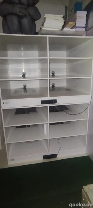 2x 6er Schlangen Rack von Pythonking abzugeben Königspython schlangenrack