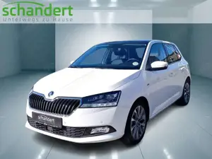Skoda Fabia 1.0 TSI Clever DSG LED Navi Pano Klimaautom