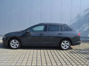 Volkswagen Golf Variant VIII Variant 1.5 eTSI 150 PS DSG PANORAMA/LED/NAV Bild 2