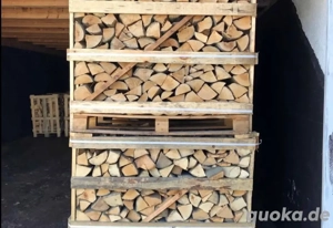 Trockenes Brennholz    verfügbar Bild 3