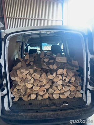 Trockenes Brennholz    verfügbar Bild 4