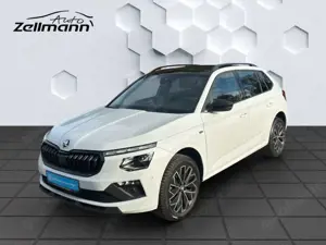 Skoda Kamiq Selection 1.5TSI 110kW 7-Gang Automatik AHZV, LED,