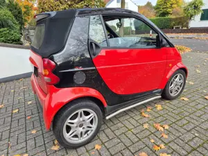 smart forTwo smart fortwo cabrio i-move Bild 3