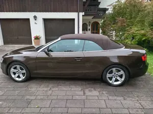 Audi A5 A5 Cabrio Diesel Cabrio 3.0 TDI DPF quattro Bild 3