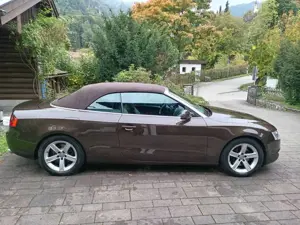 Audi A5 A5 Cabrio Diesel Cabrio 3.0 TDI DPF quattro Bild 4