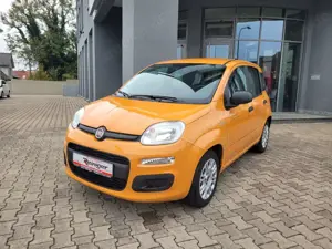 Fiat Panda Base 1.0l*Hybrid, Klimaanlage,mwst.* Bild 3