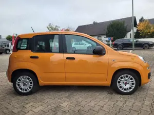 Fiat Panda Base 1.0l*Hybrid, Klimaanlage,mwst.* Bild 4