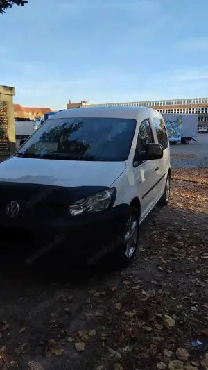 Volkswagen Caddy 1.6 TDI (5-Si.) Comfortline Edition Bild 3