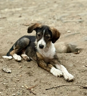 Wer zeigt Flyer die Welt?