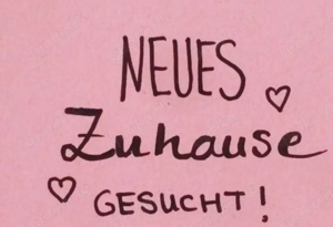 Neues Zuhause gesucht 