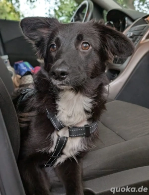 Mia freut sich auf Deinen Besuch 