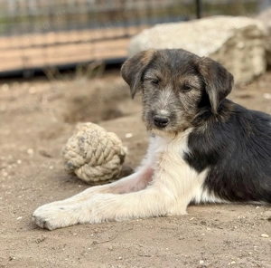 Raika möchte dein Herz gewinnen