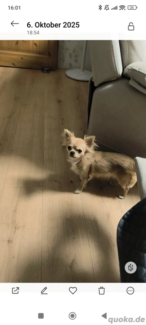 Müssen uns leider trennen Bild 1 Müssen uns leider trennen Bild 1