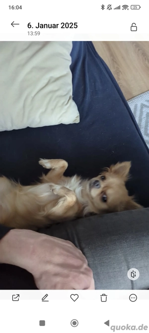 Müssen uns leider trennen Bild 2 Müssen uns leider trennen Bild 2