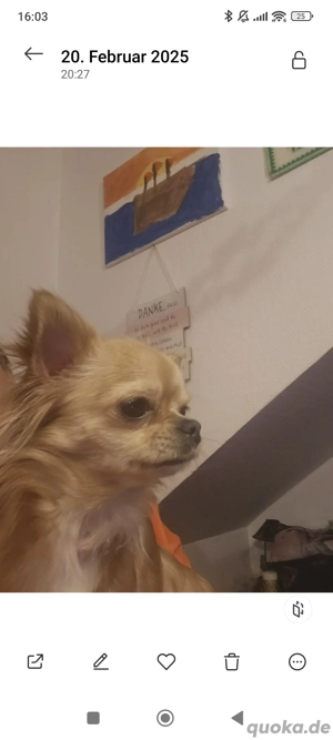 Müssen uns leider trennen Bild 3 Müssen uns leider trennen Bild 3