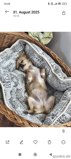 Müssen uns leider trennen Bild 4 Müssen uns leider trennen Bild 4