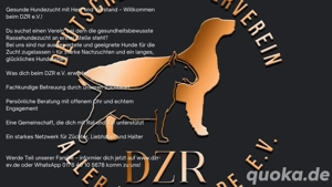 Werde Teil von uns !