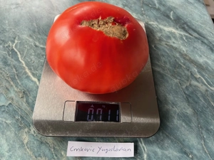 Tomatensamen und Pflanzen verschiedene Sorten  Bild 3