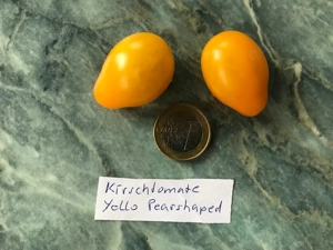 Tomatensamen und Pflanzen verschiedene Sorten  Bild 6