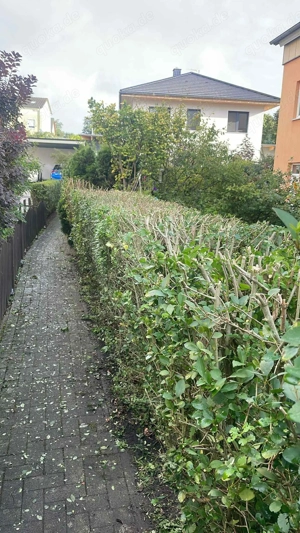  Baumpflege & Entastung   fachgerecht und mit moderner Ausrüstung.