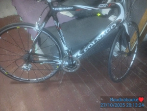 Colnago CLX Carbon Rennrad