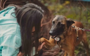 Liebe Mali-Mix-Hündin Larna			 Bild 6