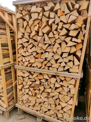 Trockenes Kaminholz: Buche Eiche Esche, 80   pro Raummeter