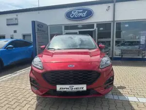 Ford Kuga 2.5 FHEV 4x4 ST-LINE X LED BO NAVI PANO Bild 2