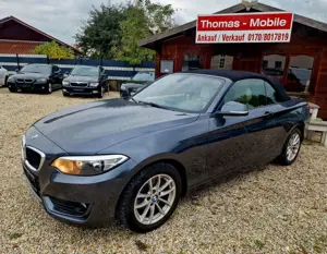 BMW 218 i Cabrio Advantage Automatic Leder
