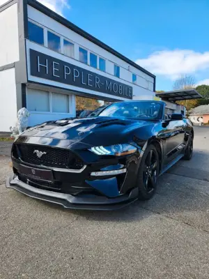 Ford Mustang Ford MustangGT5.0 V8 Cabrio LED BO ACC SHZ/Lüft