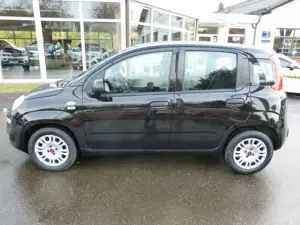 Fiat Panda Bild 5