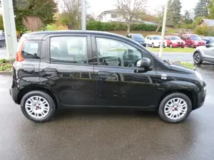 Fiat Panda Bild 4