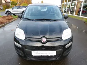 Fiat Panda Bild 2