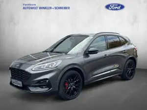 Ford Kuga 2.0 EcoBlue 4x4 Aut. ST-LINE X