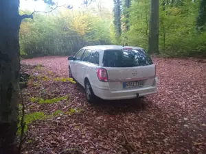 Opel Astra Astra 1.9 CDTI Caravan DPF Innovation Bild 2