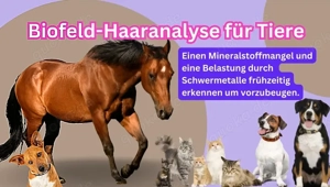 Biofeld-Haaranalyse für Tiere - Der Nährstoffceck für dein Tier