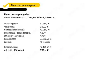 CUPRA Formentor 2.0 TSI-4Drive-VZ Extreme- AHK-Skyline Bild 2