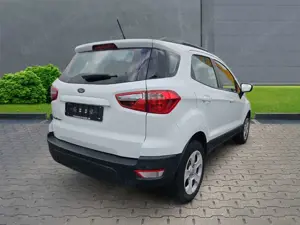 Ford EcoSport Cool  Connect 1.5 EcoBlue EU6d-T Alarm Notbremsas Bild 4