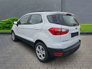 Ford EcoSport Cool  Connect 1.5 EcoBlue EU6d-T Alarm Notbremsas Bild 2