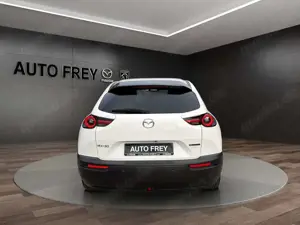 Mazda MX-30 Advantage KAMERA NAVI LED Bild 4