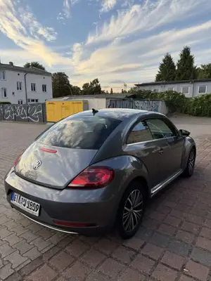 Volkswagen Beetle VW Beetle 1.2 TSI DSG ALLSTAR Navi CarPlay ParkP Bild 3