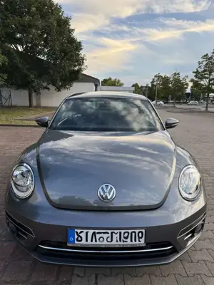 Volkswagen Beetle VW Beetle 1.2 TSI DSG ALLSTAR Navi CarPlay ParkP