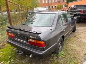 Nissan Primera 2.0 SLX Bild 4