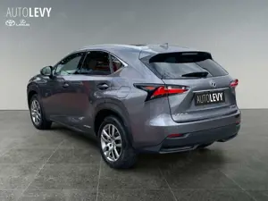 Lexus NX 300 NX300h  Hybrid Executiv *Pano*Sitzhzg*PDC*LED Bild 4