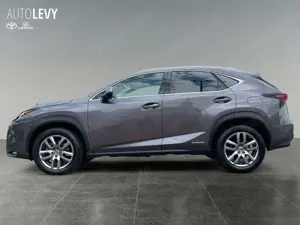 Lexus NX 300 NX300h  Hybrid Executiv *Pano*Sitzhzg*PDC*LED Bild 3